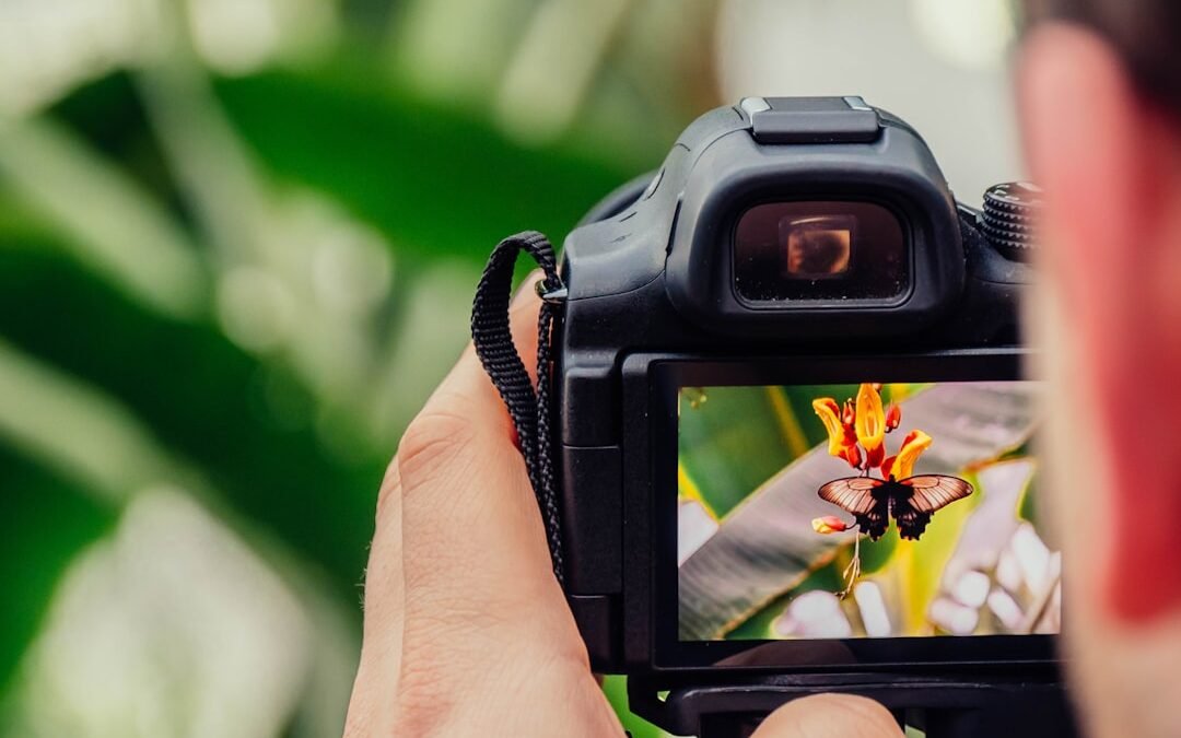 Julie Richards Photography: Unveiling Beauty at Every Age